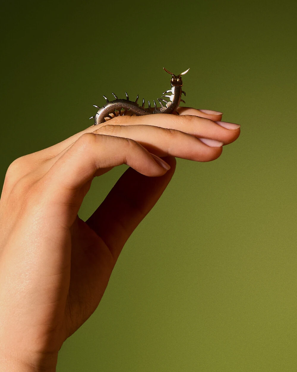 Centipede pin from the Plantis collection